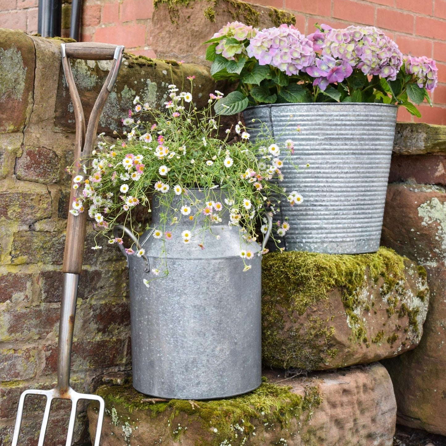 Ivyline Galvanised Milk Churn