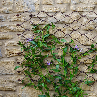 Ivyline Outdoor Honeycomb Trellis