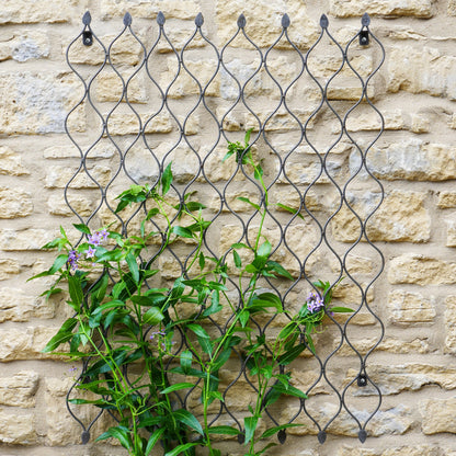 Ivyline Outdoor Honeycomb Trellis